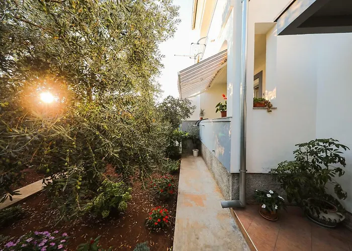 安迪辛公寓 公寓 *